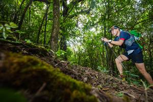 BIB: 110
                            <button type="button" onclick="openModal(16008341)" class="btn btn-primary btn-sm float-right btn-popup" data-toggle="modal" data-target=".modal-high-quality">
                        <i class="fas fa-shopping-cart"></i> Add to Cart
                    </button>
                                            <button type="button" onclick="isThisMe(16008341, true)" class="btn btn-success btn-sm float-right btn-popup btn-isme hidden" data-toggle="tooltip" data-placement="bottom" title="นี่คือรูปของคุณใช่ไหม คลิกที่นี่เพื่อเอาเข้าอัลบั้ม">
                        <i class="fas fa-plus"></i> Add to album
                    </button>
                    <button type="button" onclick="isThisMe(16008341, false)" class="btn btn-warning btn-sm float-right btn-popup btn-isnotme hidden">
                        <i class="fas fa-ban"></i> Remove from album
                    </button>